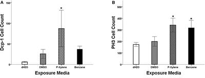 Toxicological Study and Genetic Basis of BTEX Susceptibility in Drosophila melanogaster